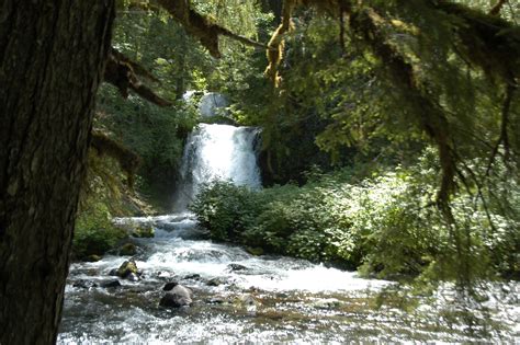 Twin Falls , Campground Photos, Images