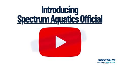 Image result for Spectrum Aquatics Parts Remote Control