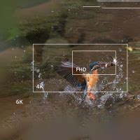 Canon EOS R3 Mirrorless Camera Body Only Price in India - Buy Canon EOS ...