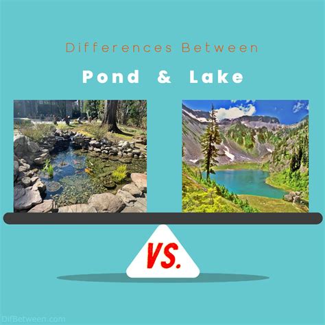 Pond vs Lake Differences: Navigating Aquatic Realms
