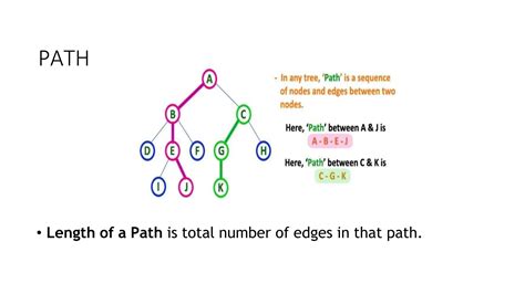 Image result for Tree Data Structure Python