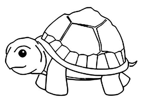 Image result for Turtle with Gun Coloring Pages Printable