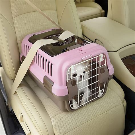 Buy Richell Double Door Pet Carrier Small, Travel Carrier for Small Dog ...