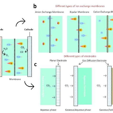 ECR Java 的图像结果