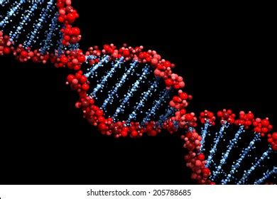 Image result for DNA Microarray Data