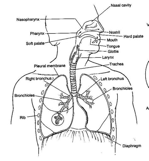 Image result for One Example of Homogeneous