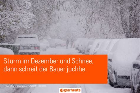 Dezember warm - Gott erbarm. Bauernregeln im Dezember | agrarheute.com