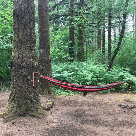 Jones Creek Camping | The Dyrt