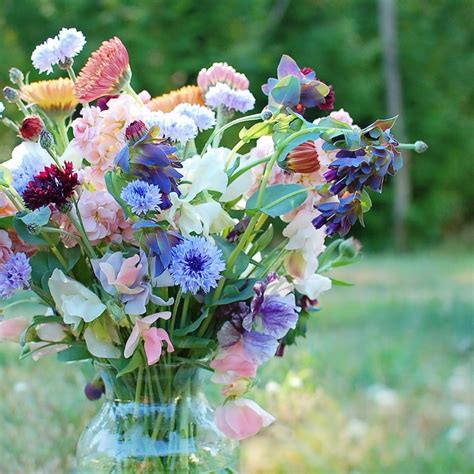Grow Your Own: The Best Cut Flowers for Florists – SlowFlowers Journal