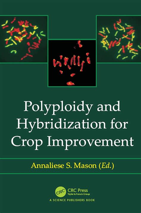 Polyploidy and Hybridization for Crop Improvement eBook : Mason ...