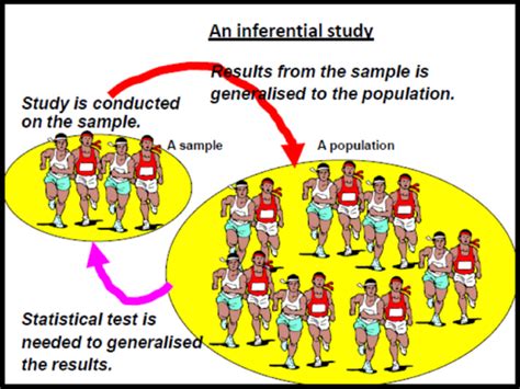 Basic Concepts in Statistics 的图像结果