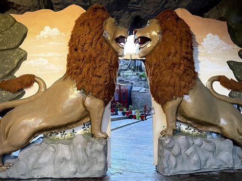 12.0 Activity! Observe the model and specimen. Identify and label the ...