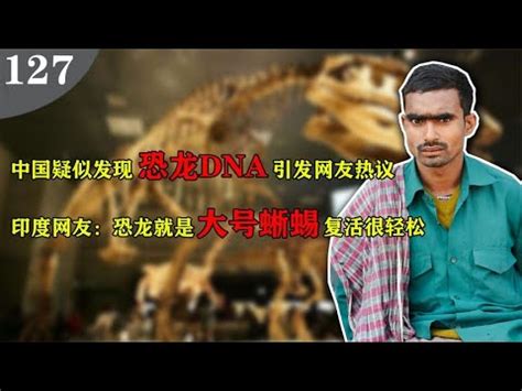 中国在恐龙化石中发现疑似DNA，复活恐龙有望实现？全球网友热议【唠叨冷知识】 - YouTube