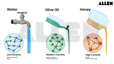 Newton’s Law of Viscosity: Statement, Solved Examples and FAQs