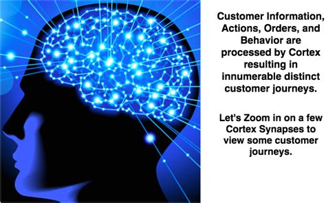 Image result for Cortex Book