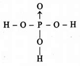 The structure of orthophosphoric acid is - Tardigrade