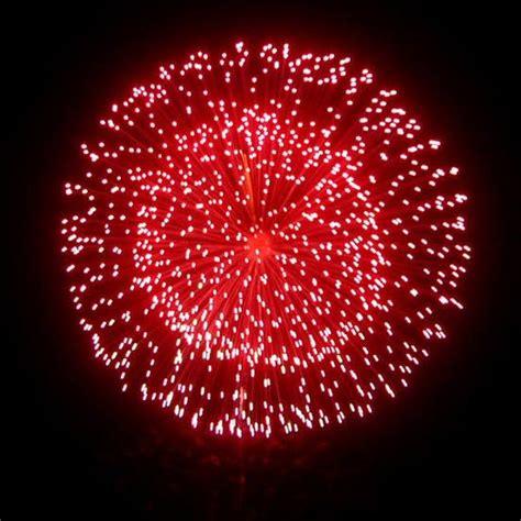 Image result for 8 Inch Firework Shell