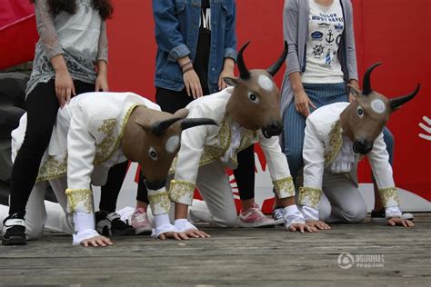杭州高校别样迎新会：学长给学妹“当牛做马”_环球留学_环球网