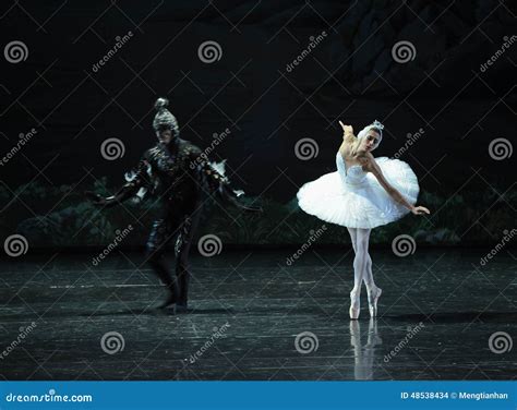 The White Swan and Black Swan-ballet Swan Lake Editorial Stock Image ...
