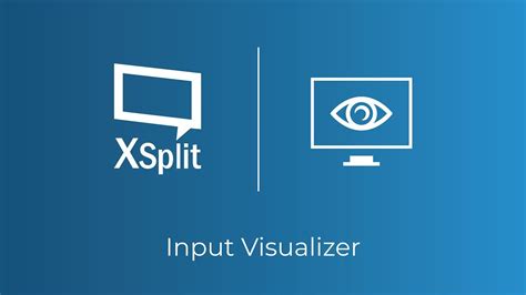 Input Visualizer 的图像结果