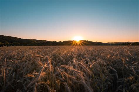 Landschaftsansicht auf dem Feld gegen den Himmel bei Sonnenuntergang ...