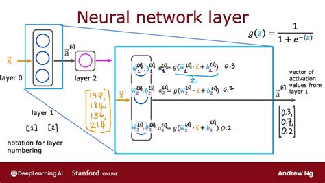 Neural Network Algorithm 的图像结果