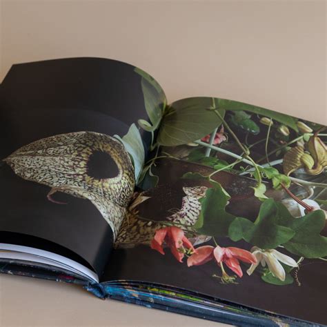 Emily Thompson Flowers