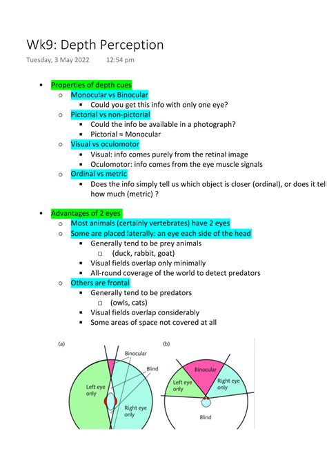 Depth Perception 的图像结果