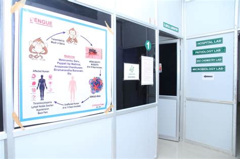 Best Siddha Colleges in Coimbatore | RVS