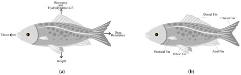 Underwater Soft Robotics: A Review of Bioinspiration in Design ...
