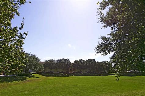 Boardwalk At Alafaya