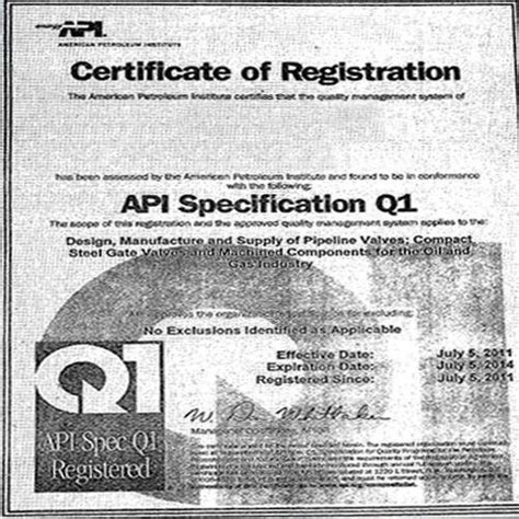 Image result for API Spec Q1 Logo