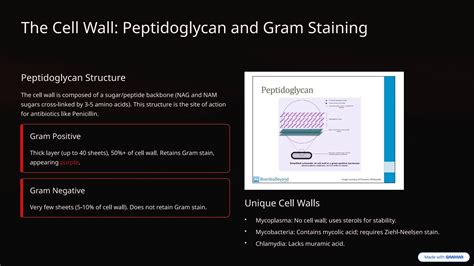 Bacterial-Cells-Structure-Stains-and-Identification.pptx