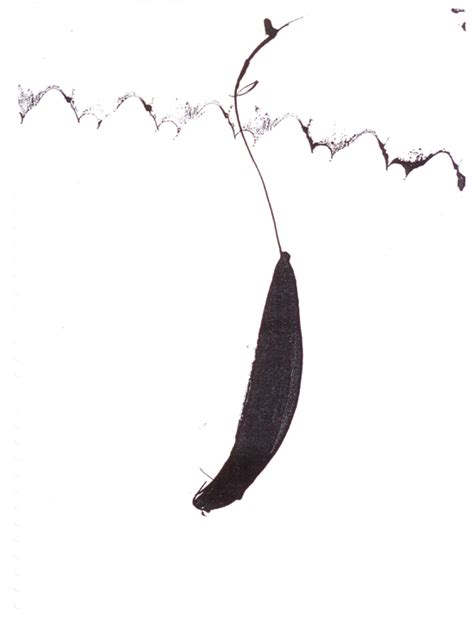 D'source From Seed to Tree | Exercises | D'Source Digital Online ...