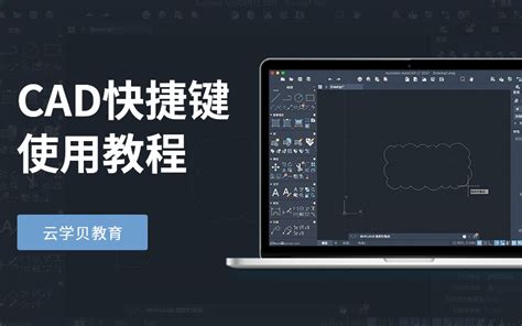 CAD快捷键大全（2020重制版）_公众