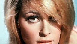 Image result for Sharon Tate Quotes