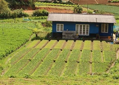 A 5N/6D Adventure Trip to Sri Lanka For 3 Lifelong Friends