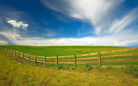 Image result for Spring Background