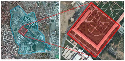 The Use of Machine Learning Algorithms in Urban Tree Species Classification