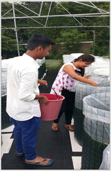 AIT Aquaculture | The Aquaculture program of Asian Institute of ...