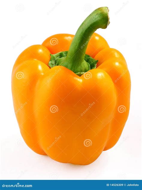 Orange bell pepper stock image. Image of pepper, paprika - 14526309