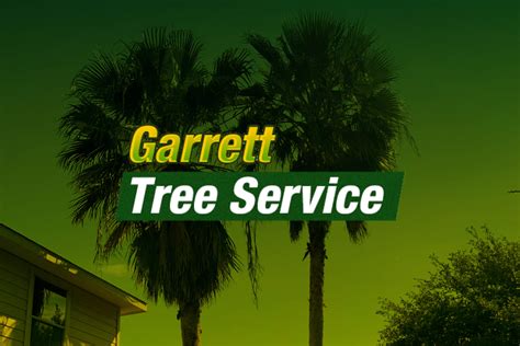 Image result for Houston TX Tree Service