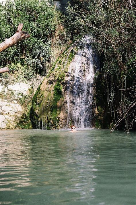 Image result for Lab Scan Add