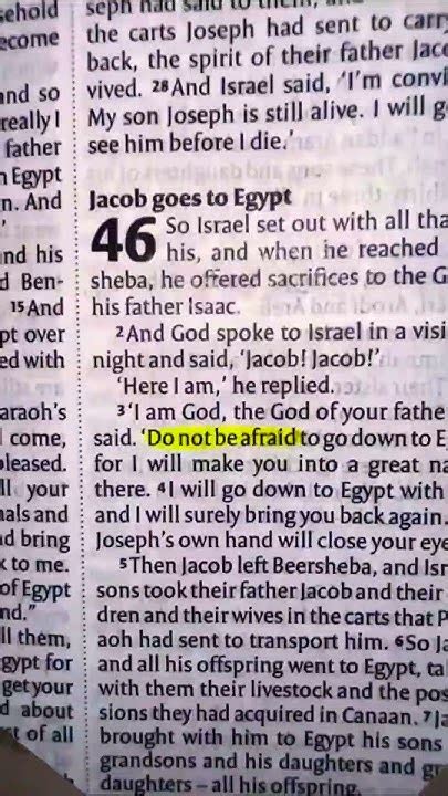 One phrase in the bible repeated 365 times. "Do not be afraid." - YouTube