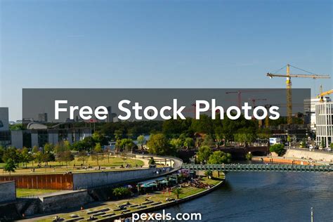 Image result for Evolutionary Progress