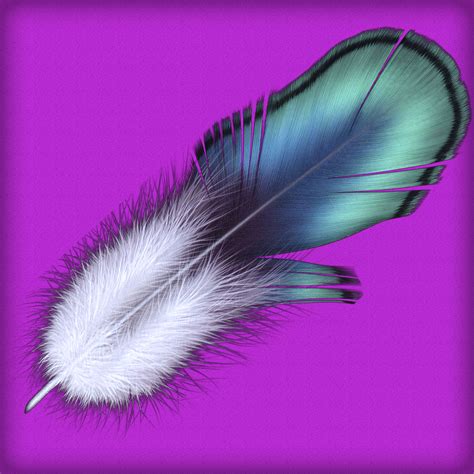 Tickling Feathers Set *Updated* - Daz Content by TheDevian