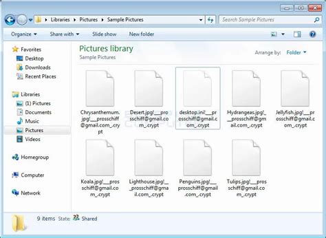 Image result for Programme File Virus