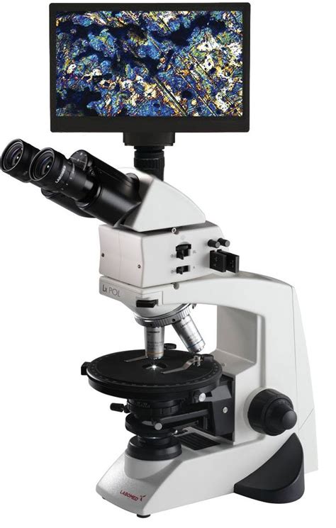 Polarizing Light Microscope 的图像结果