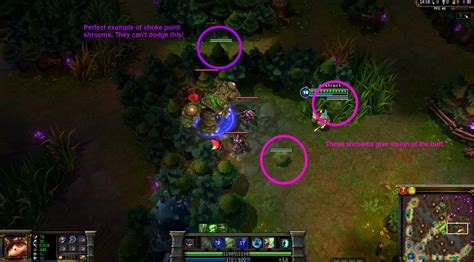 Image result for Teemo Guide