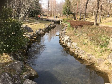 Moriya Tourism (2024): All You Need to Know Before You Go